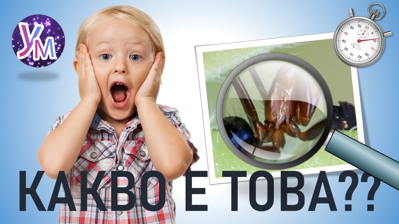 🔎 Какво има на картинката? 👀? 🦋 Пеперуда 🦋 или 🦗 скакалец 🦗? Познa ли картинката пръв? ⏲