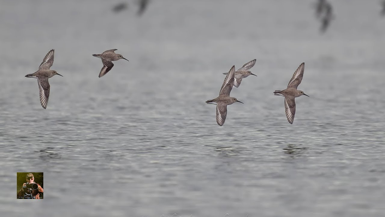 Unveiling Keyhaven: A Behind-the-scenes Look At Our Photography Process