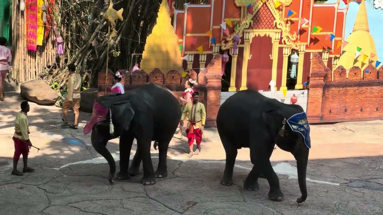 Elephant Show at Safari World Bangkok, Thailand 