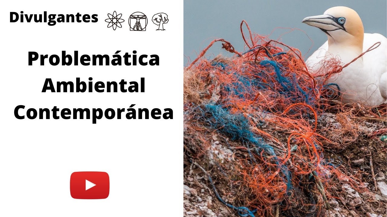 Problemática Ambiental