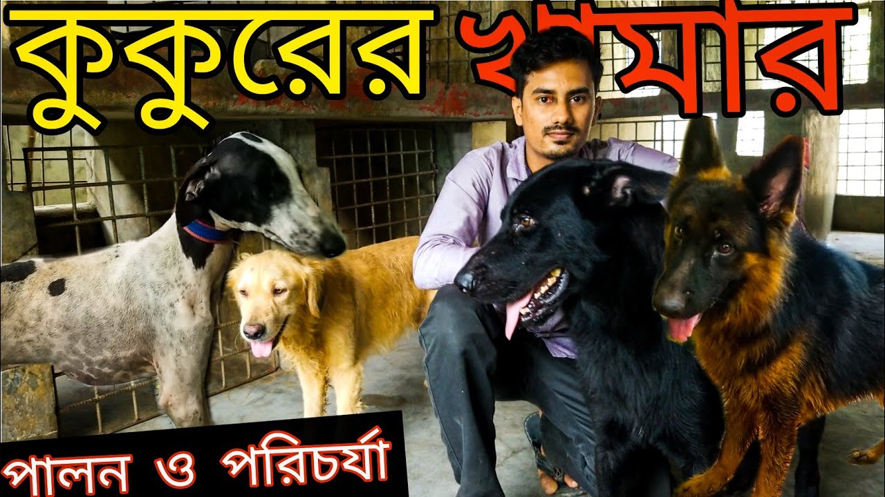 জার্মান শেফার্ড লালন পদ্ধতি | Dog Farm in Bangladesh | জার্মান শেফার্ড, হাউন্ড, গোল্ডেন রেট্রিভার