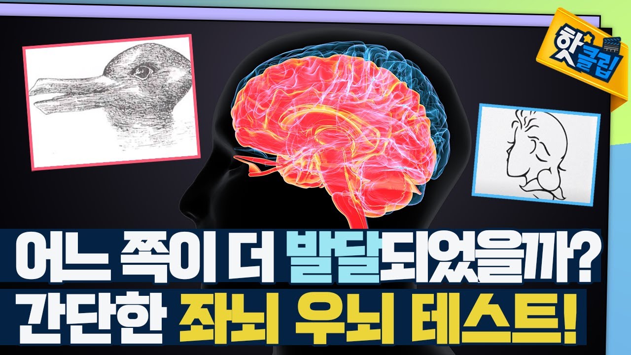 [핫클립] 간단한 좌뇌 우뇌 테스트 / YTN 사이언스