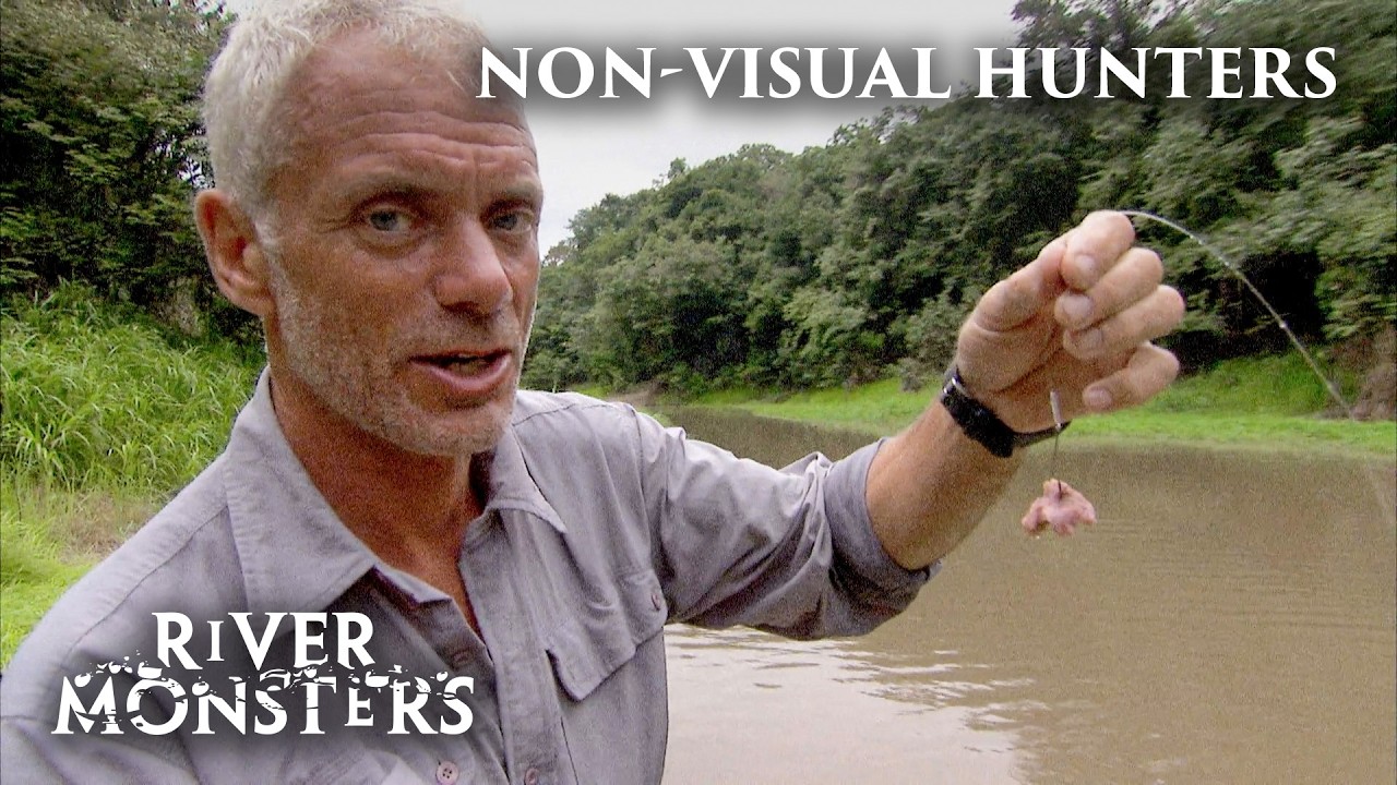 Fish That Hunt Using Vibration, Electroreception & Scent | River Monsters