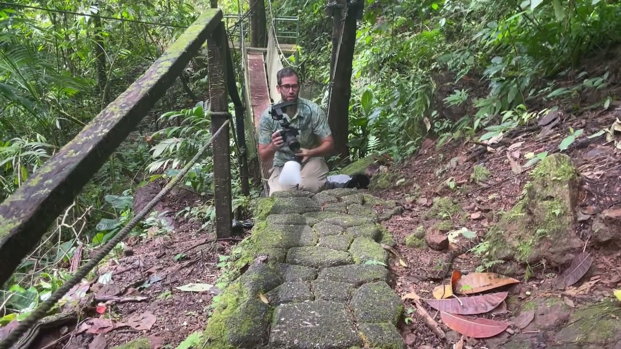 Fer De Lance close encounter