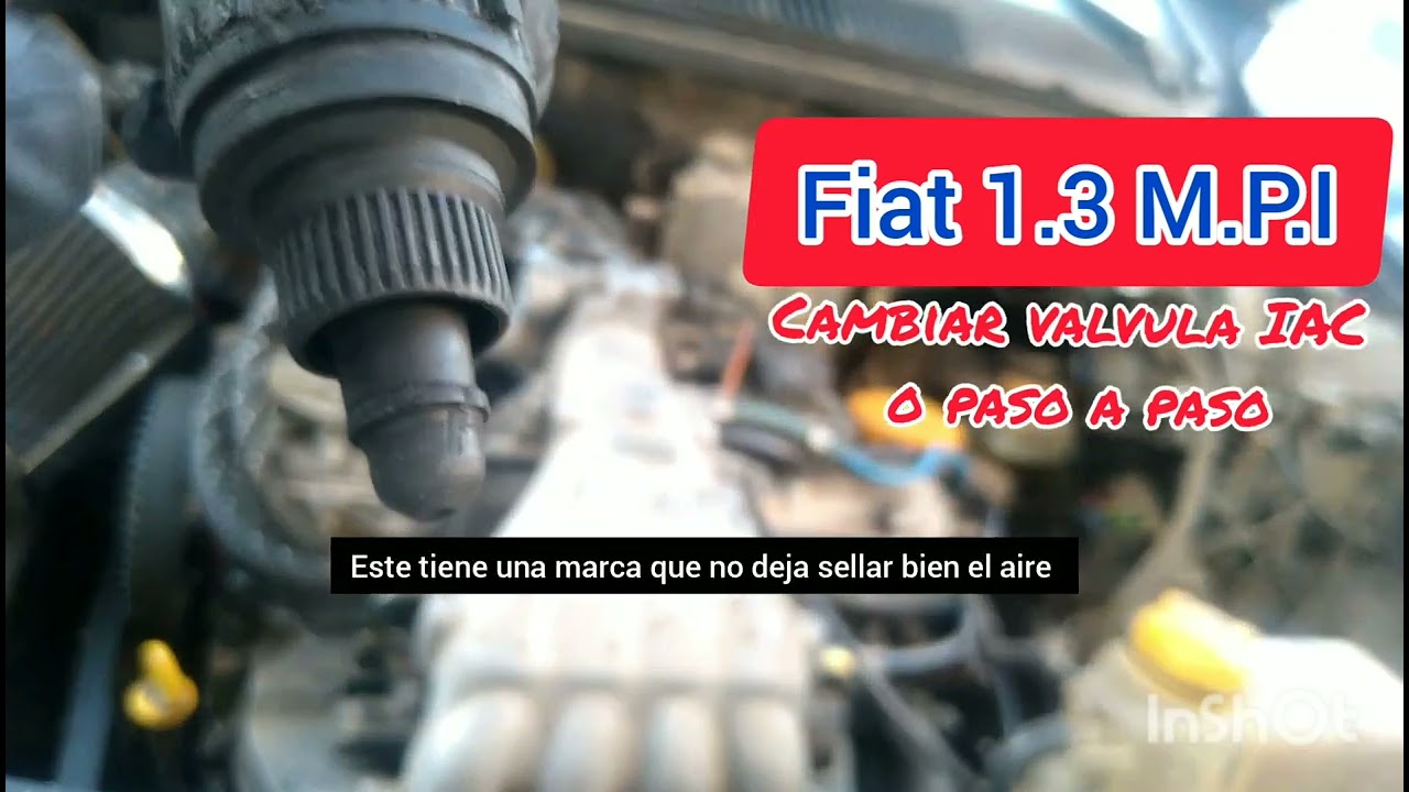 Cambiar paso a paso o valvula IAC fiat 1.3 mpi