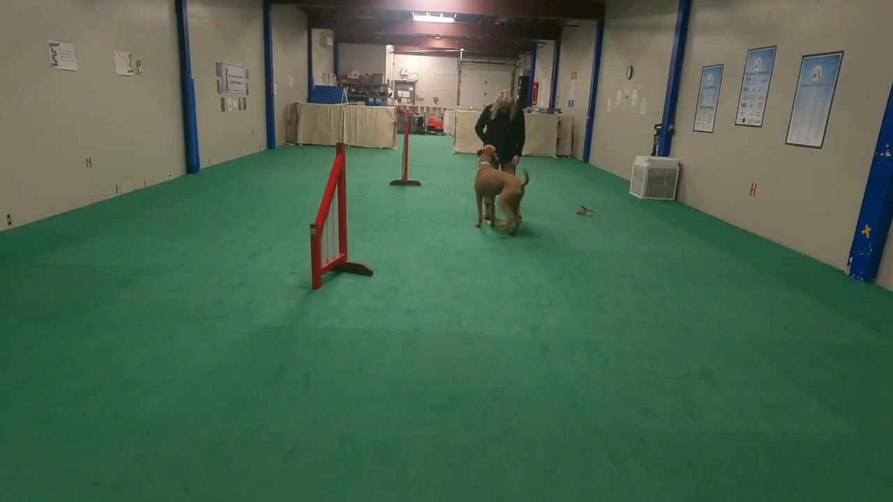 Working fronts, wing wraps and dots with Red Rover February 19, 2026