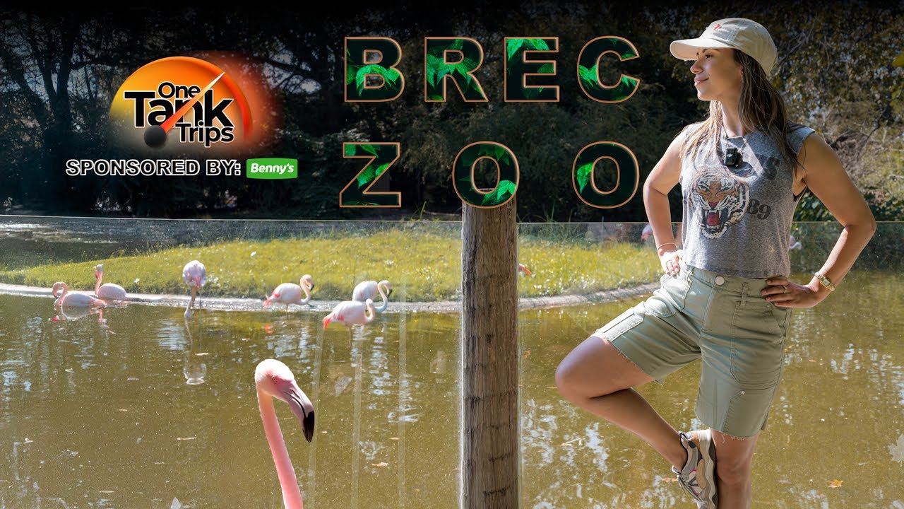 ONE TANK TRIPS: BREC's Baton Rouge Zoo