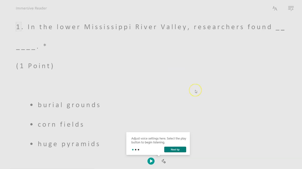 Text to Speech Immersive Reader - Microsoft Form in Microsoft Teams