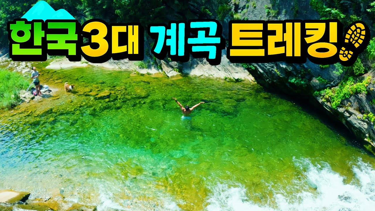 [수심 2.5m] 올해 가장 맑은! 정선 덕산기계곡, 한국 3대 트레킹 명소 (feat.네이쳐맨코리아)