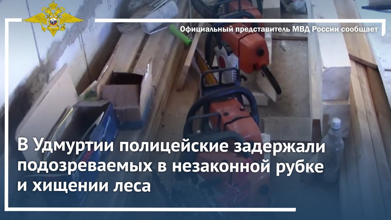 Ирина Волк: В Удмуртии полицейские задержали подозреваемых в незаконной рубке и хищении леса