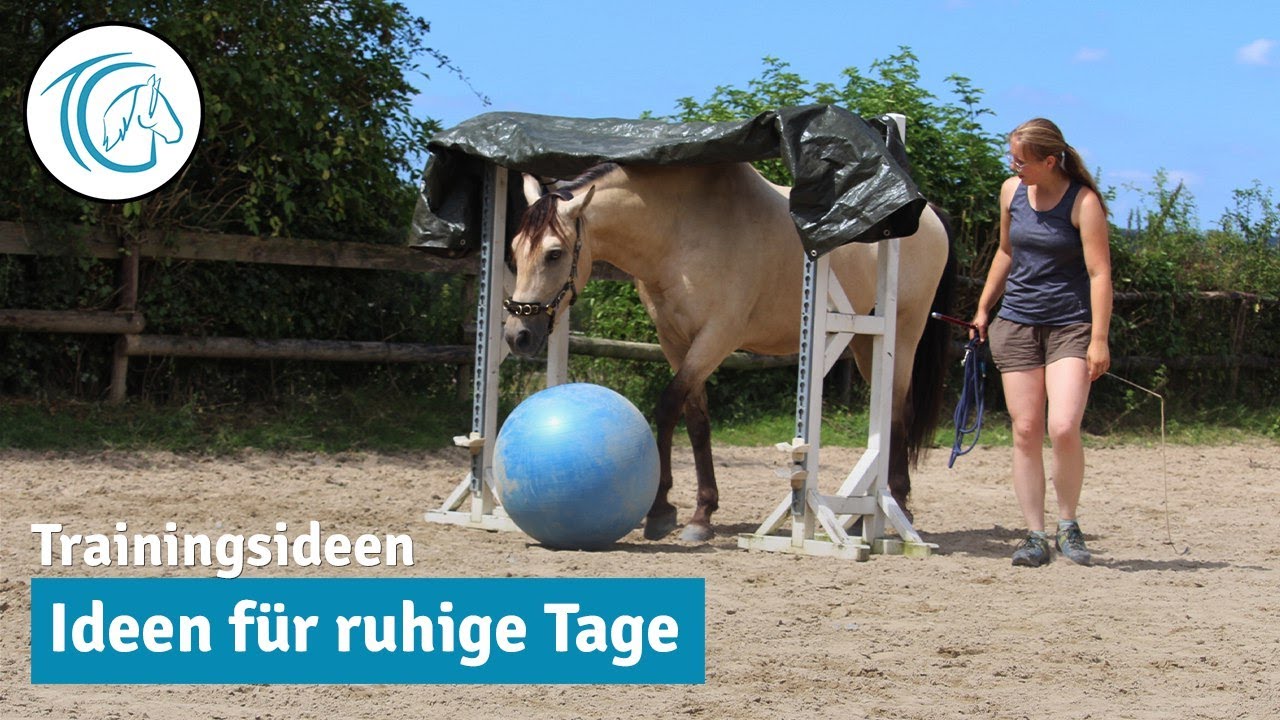 Spiel & Spaß mit Pferd: 4 Ideen für heiße Sommer-Tage