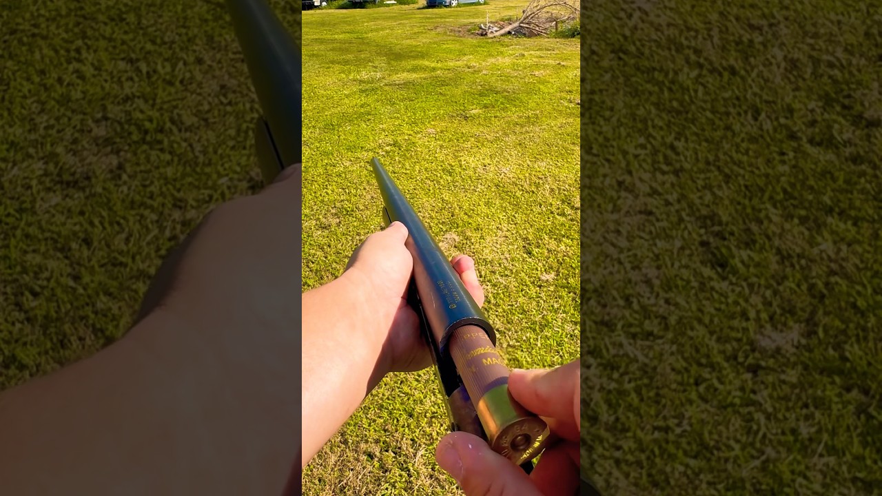 H&R 10 gauge 36 inches of pain