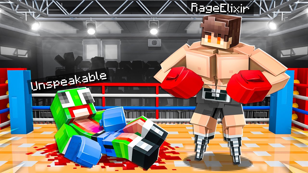 $500,000 Minecraft Boxing Tournament!