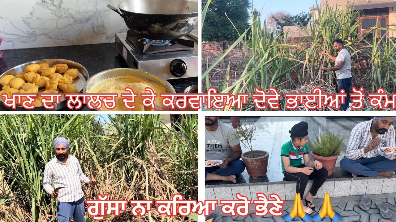 ਗੁੱਸਾ ਨਾ ਕਰਿਆ ਕਰੋ ਭੈਣੇ 🙏🙏। ਖਾਣ ਦਾ ਲਾਲਚ ਦੇ ਕੇ ਕਰਵਾਇਆ ਦੋਵੇ ਭਾਈਆਂ ਤੋਂ ਕੰਮ 