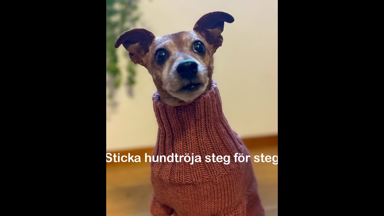 Sticka hundtröja Del 2, Framben