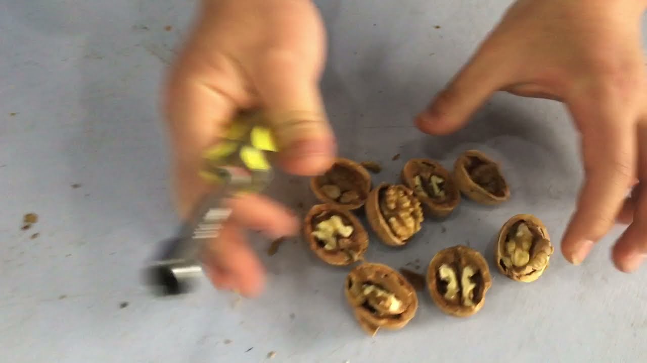 X-ray sorting machine for empty walnuts