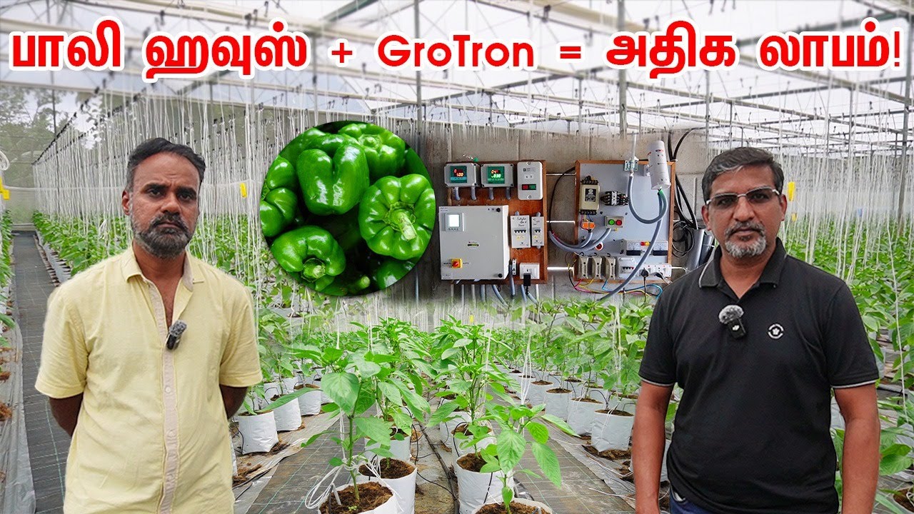 பாலி ஹவுஸ் + Grotron = அதிக லாபம் | Gro Tron | Farmagain