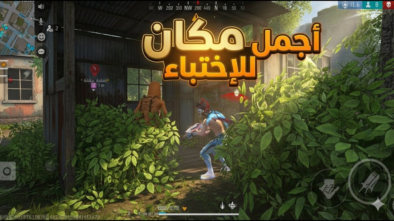  أجمل مكان للاختباء
