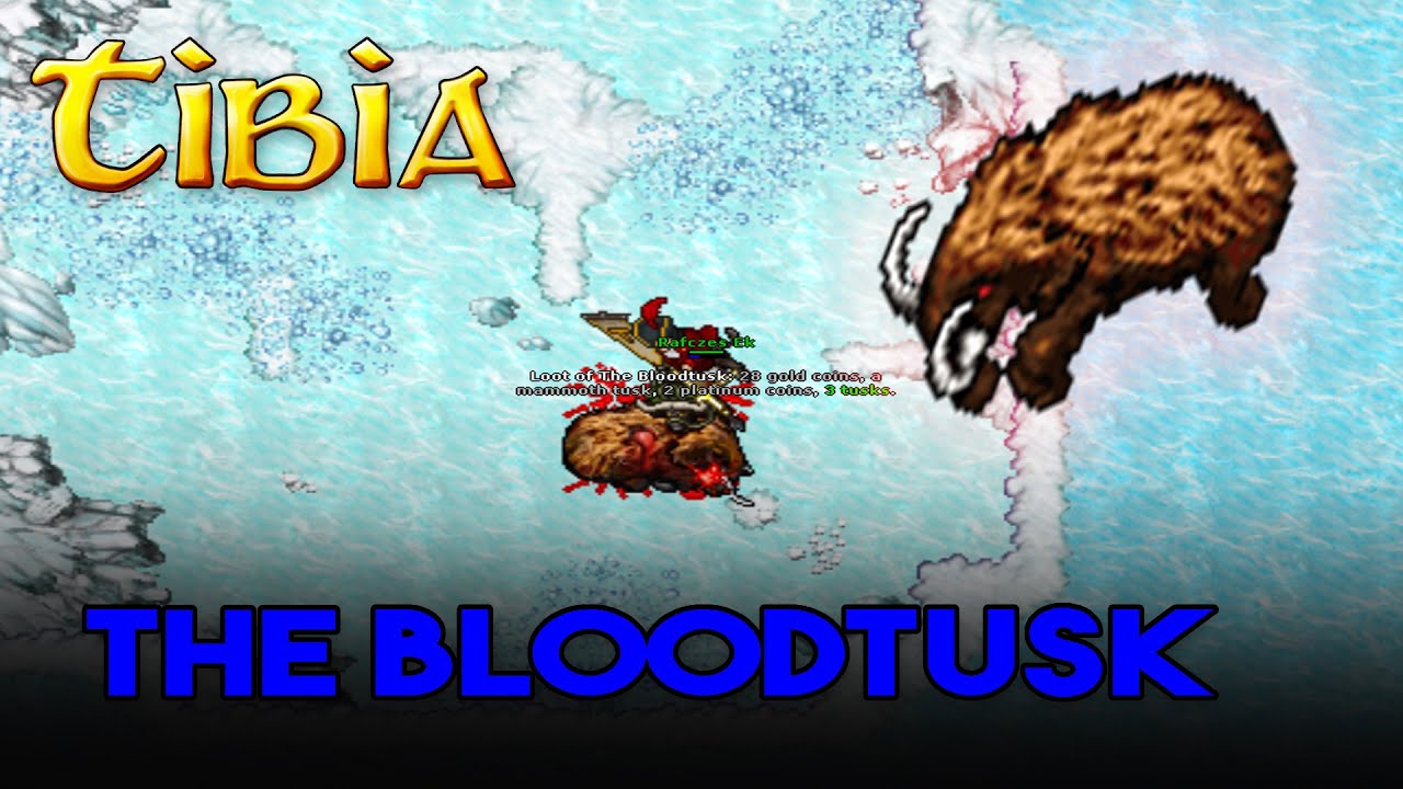 BOSS MAMUTÓW I OKOLICZNE STWORY! - Tibia - The Bloodtusk
