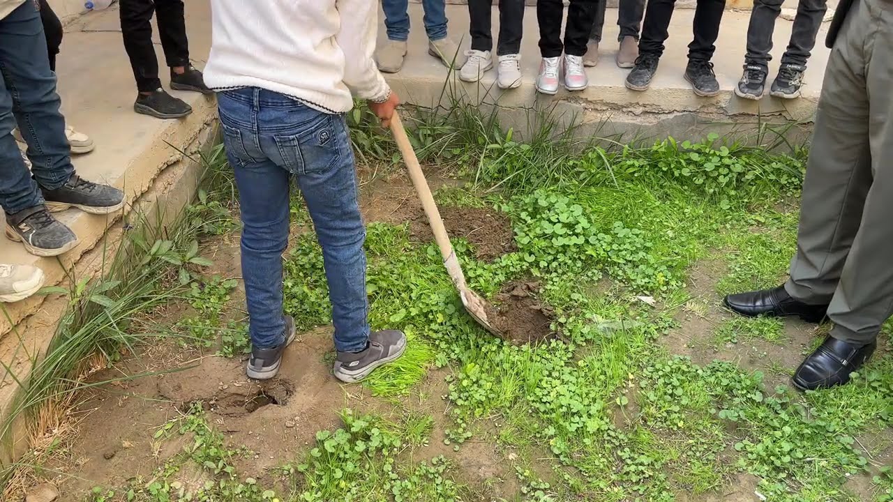مدارسنا خضراء 
