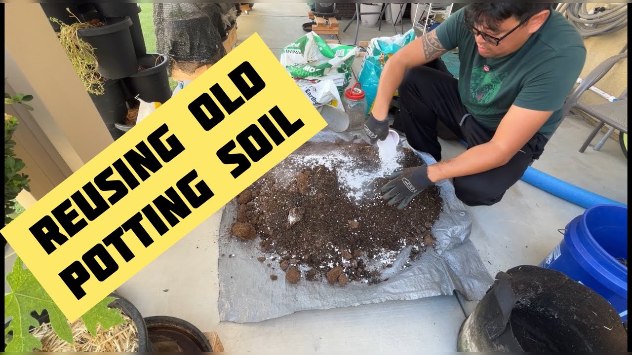 How We Reuse Old Potting Soil