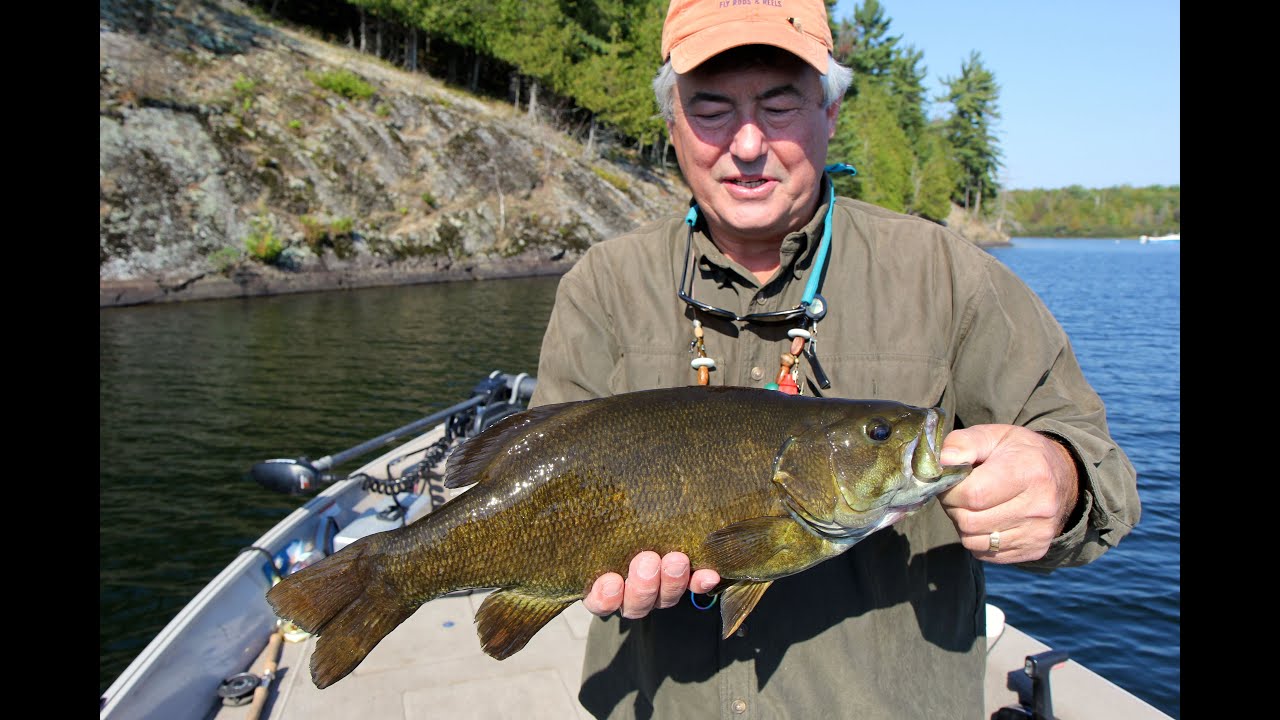 Smallmouth Bass on a Fly