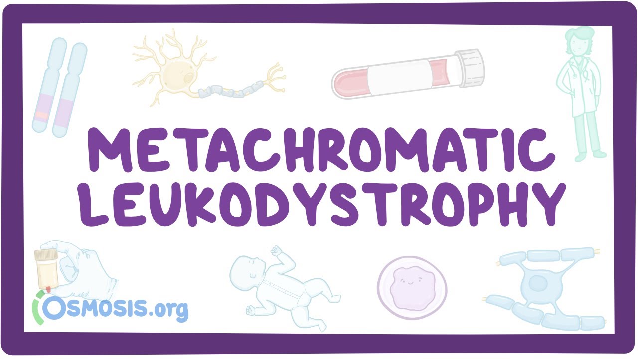 Metachromatic leukodystrophy - causes, symptoms, diagnosis, treatment, pathology