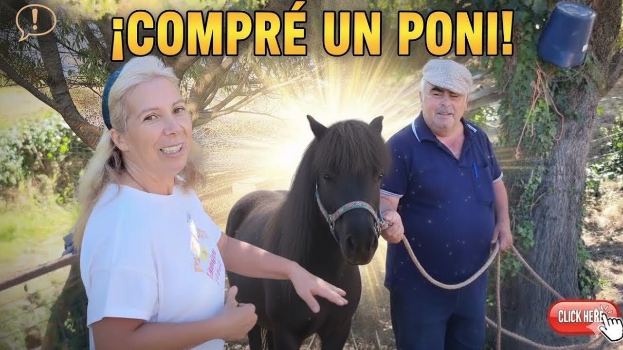 LA SORPRESA!! Os la presento!