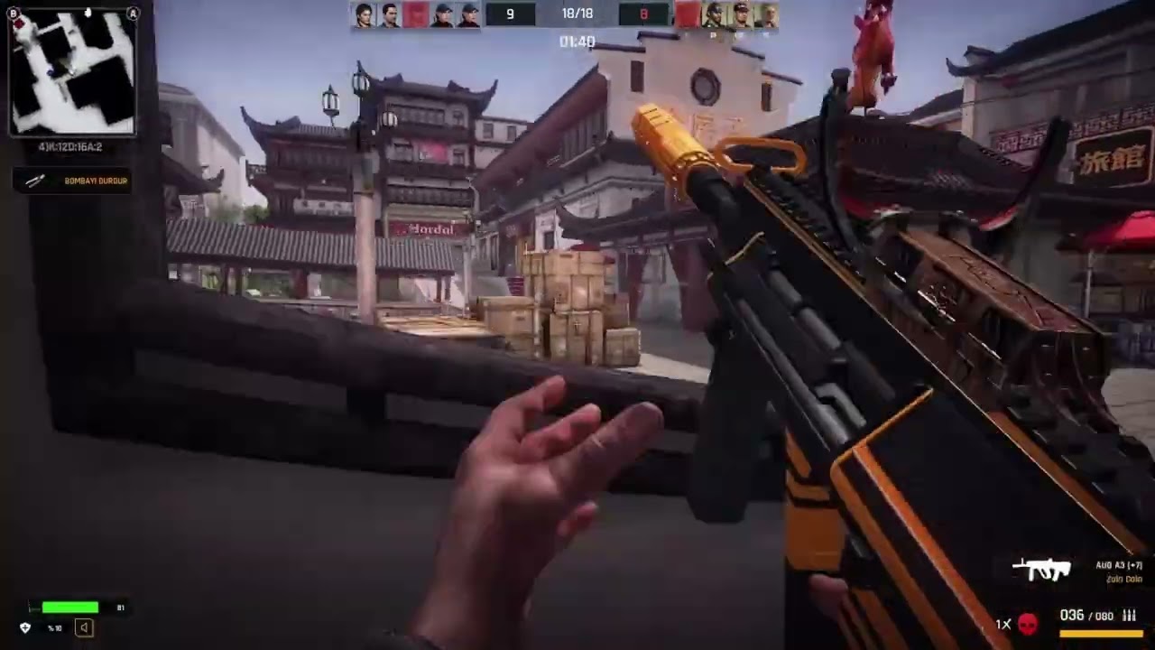 Zula Montage #1