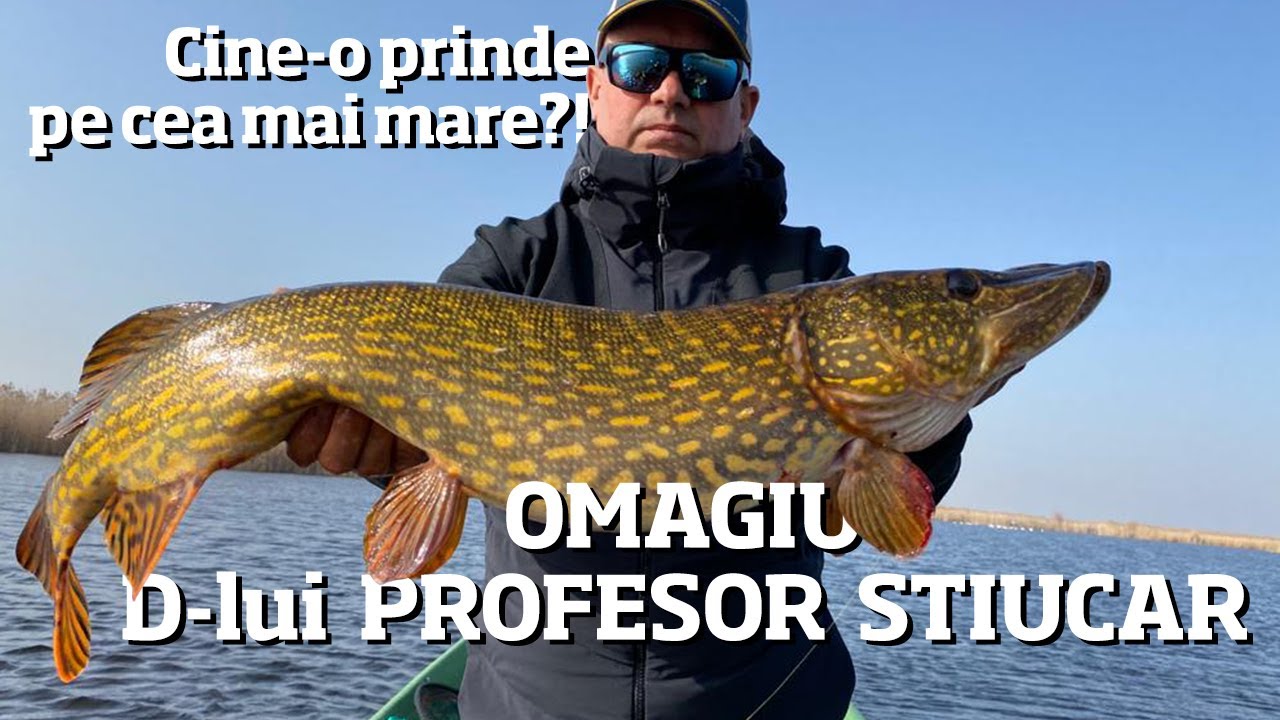 PESCUIT la STIUCI pretentioase. Inceput de sezon Holbina 3 Bibani. Concurs/caterinca/prieteni.
