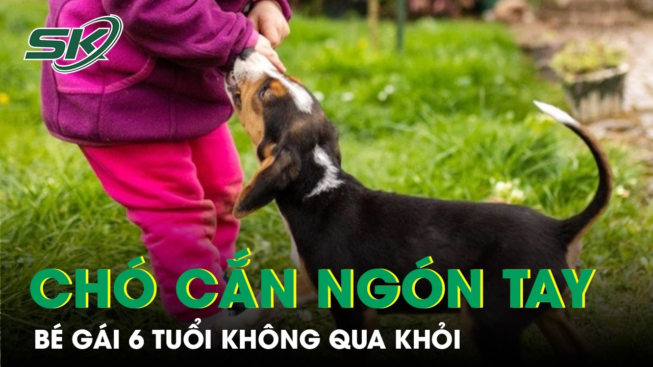 Bé gái 6 tuổi không qua khỏi sau khi bị chó cắn vào ngón tay | SKĐS