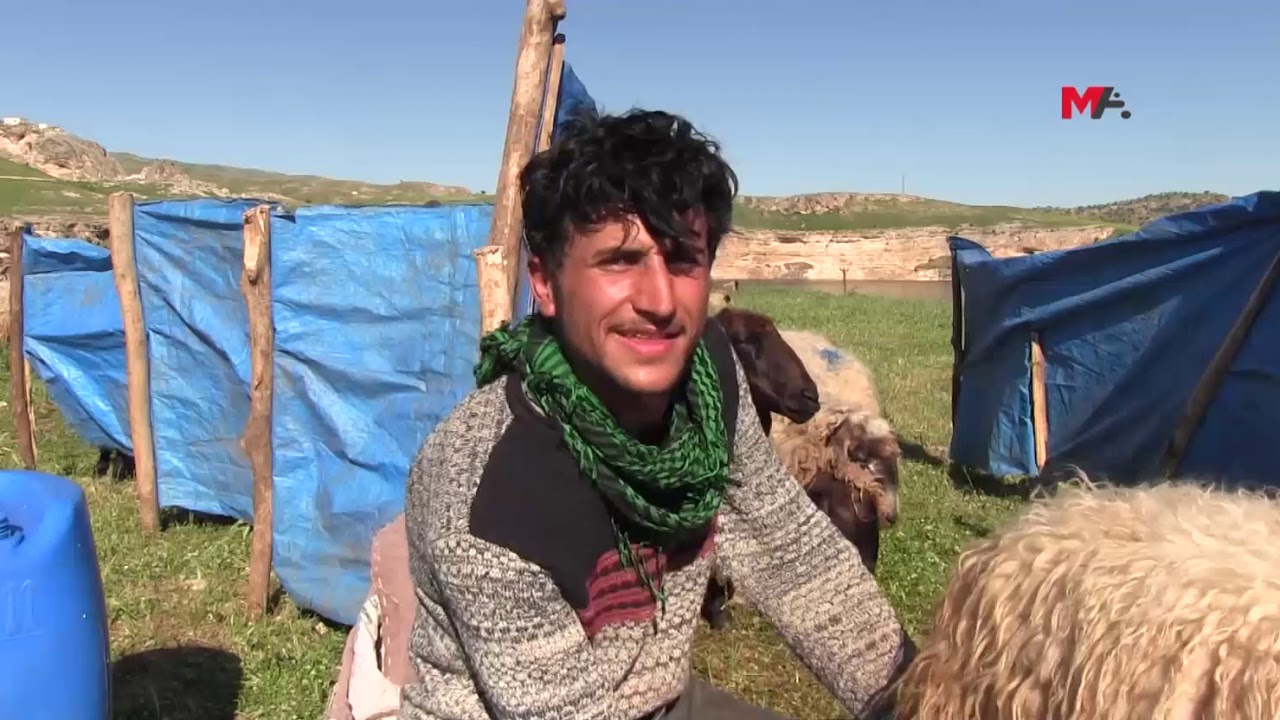 Bendavê barê koçeran girantir kir