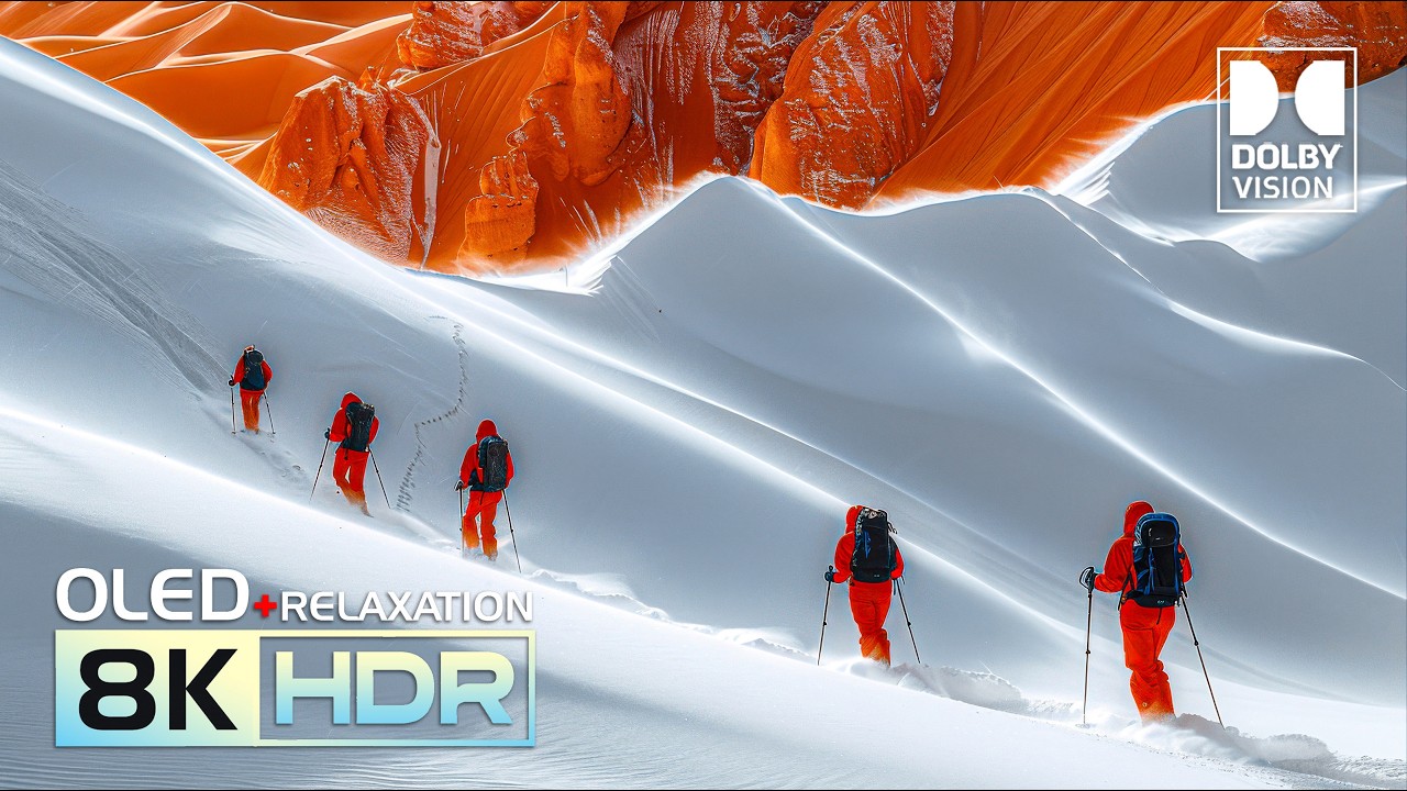 UNREAL 16K HDR OLED Dolby Vision 240fps | Nature and Animals (8K/4K Video TV)