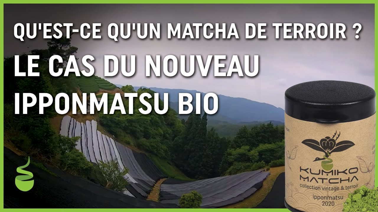 Qu'est-ce qu'un matcha de terroir ? Le cas du nouveau ipponmatsu bio
