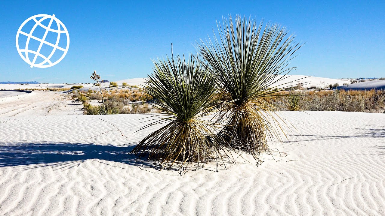 White Sands National Park, New Mexico, USA  [Amazing Places 4K]