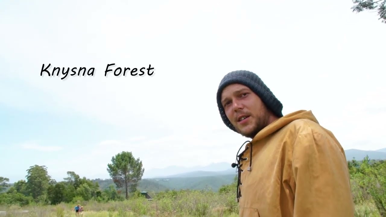 Exploring the Enchanting Knysna Forest: A Journey into Nature's Embrace
