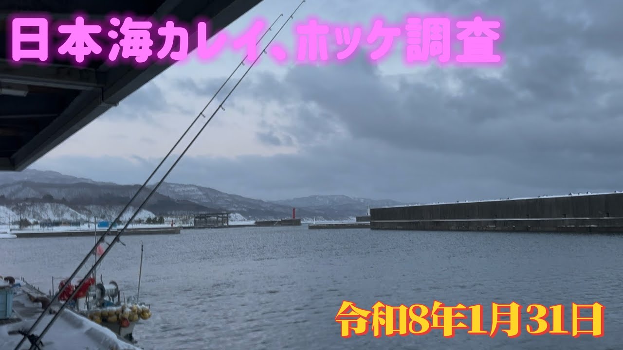 日本海カレイ、ホッケ調査