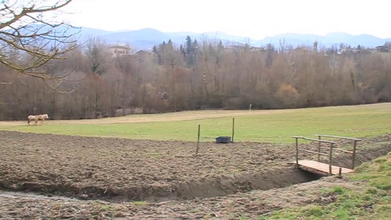 Appennino Parmense, alpaca e latte di cabannina: un'idea di fattoria ad Albareto