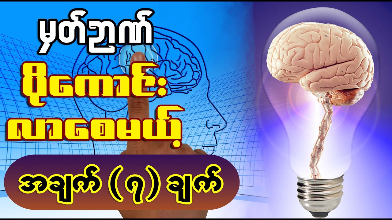 မှတ်ဉာဏ် ပိုကောင်းလာစေဖို့အတွက် လုပ်ဆောင်သင့်တဲ့ အချက် ( ၇ ) ချက် အကြောင်း
