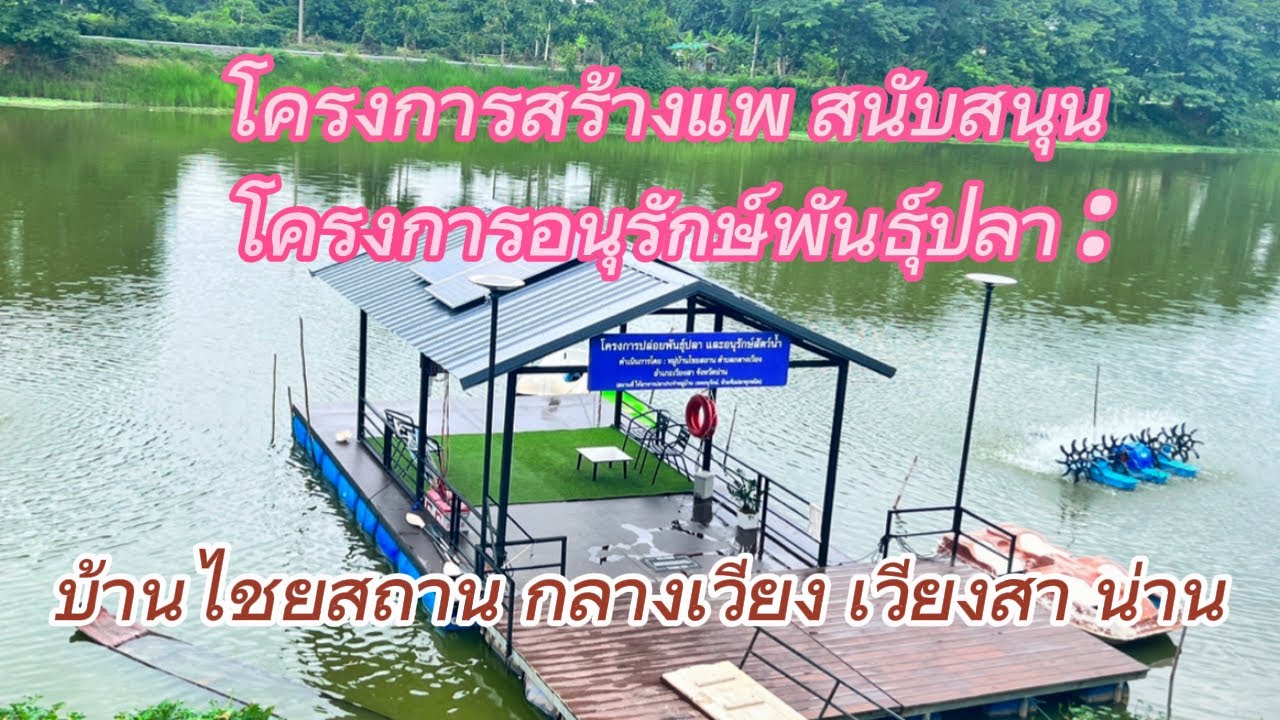 DIY สร้างแพเอง จากถังน้ำมัน200ลิตร พร้อมวิธีสร้างแพทุกขั้นตอน #สร้างแพถังน้ำมัน #แพ #แบบสร้างแพ