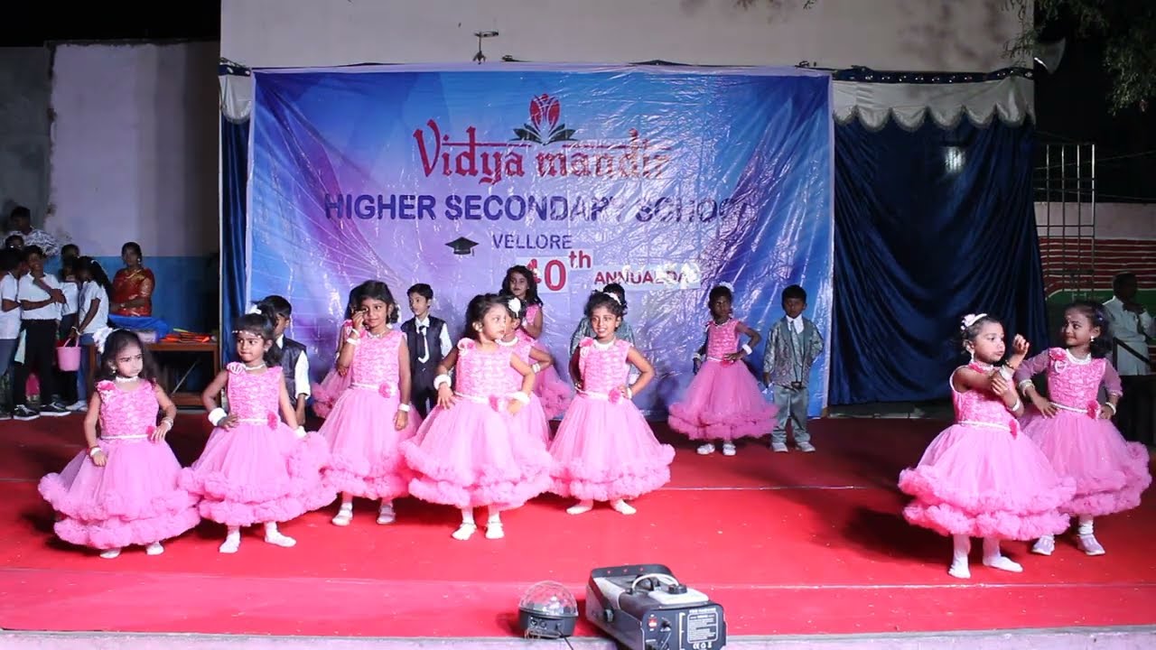 VIDYA MANDIR SCHOOL