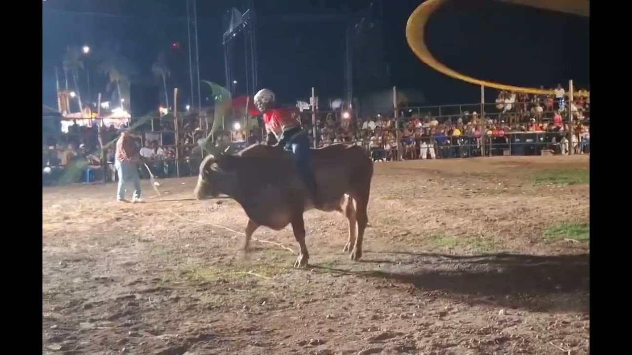 ORGULLO DE ACAPETLAHUAYA🤠  🆚 TORO BUENA SUERTE🐂,2026