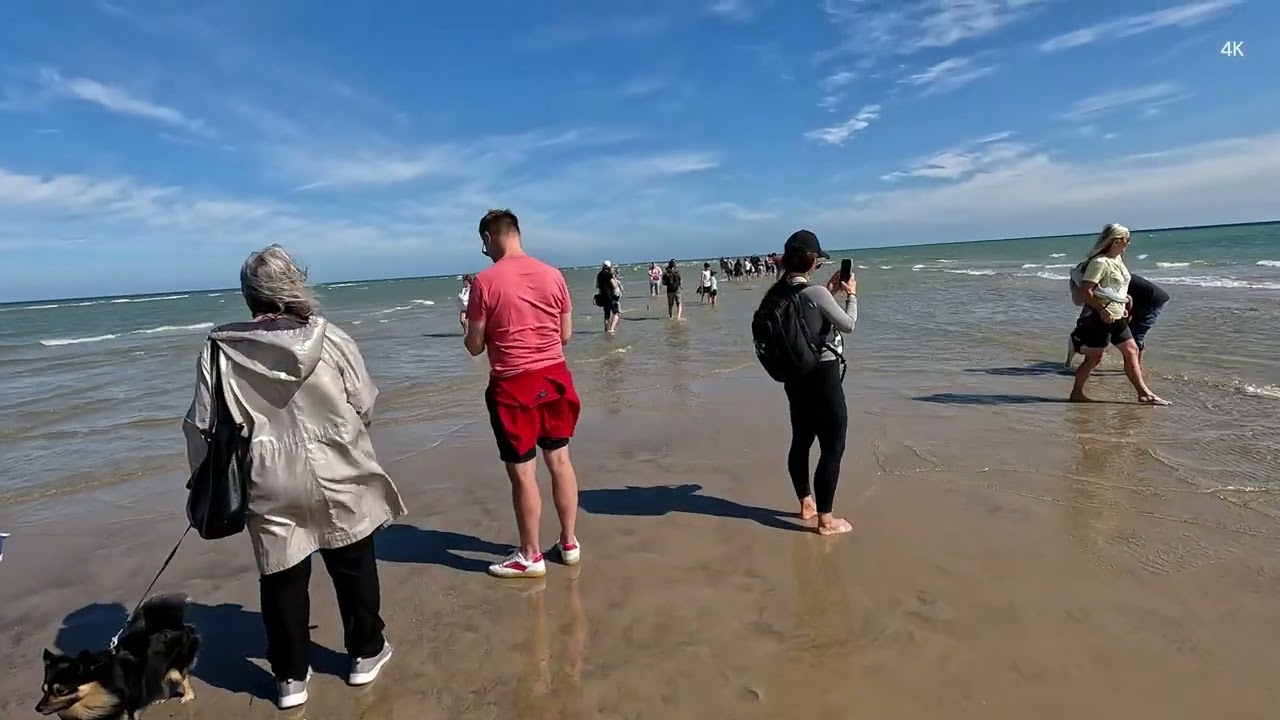 Grenen in Skagen | The most northern point in Denmark | 4K