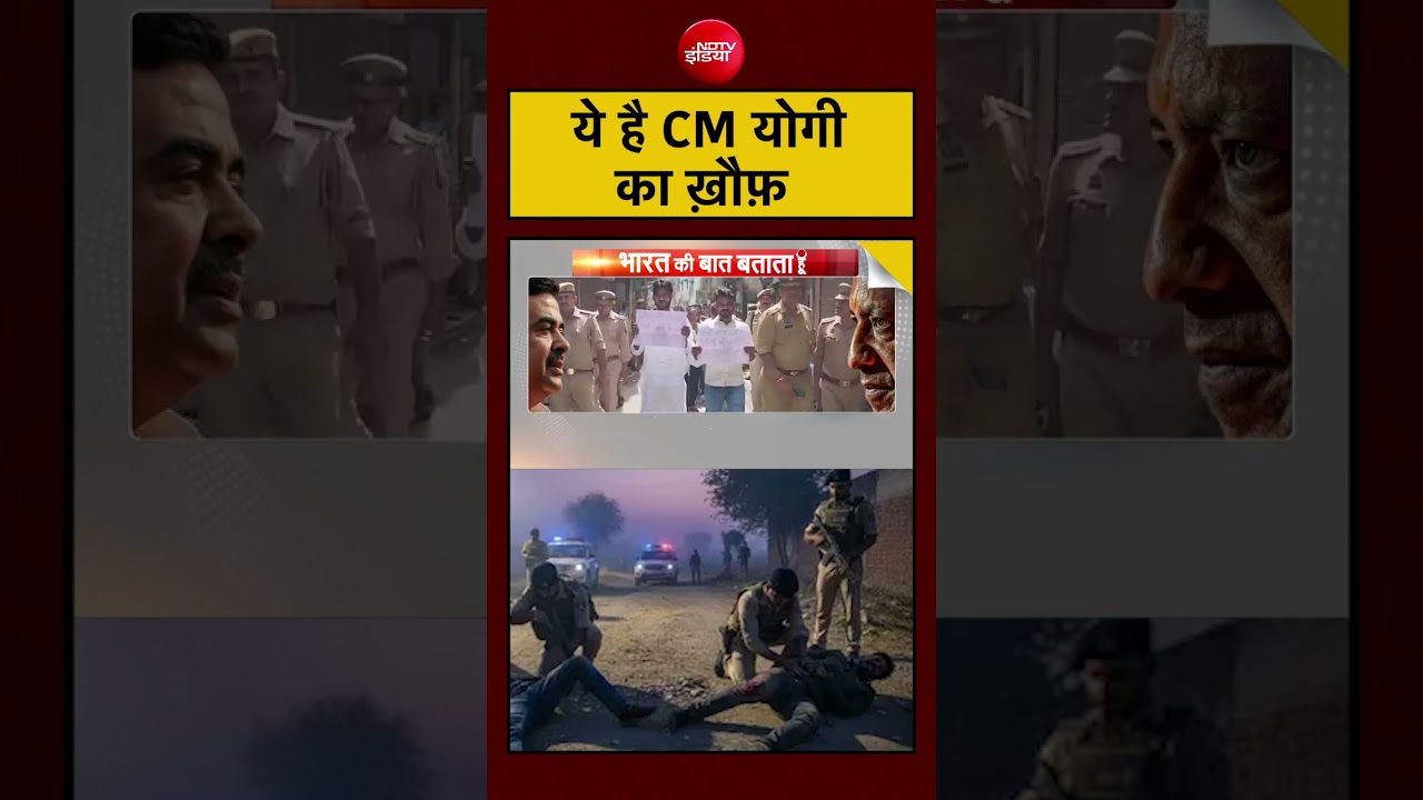 Syed Suhail | UP News | ये है CM योगी का ख़ौफ़ #UPNews #shorts #YTShorts