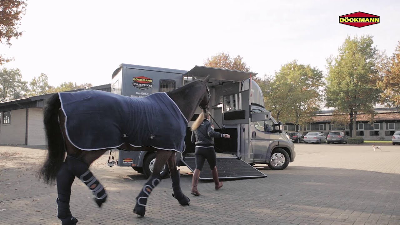 Böckmann Compact Stall für einen Hengst