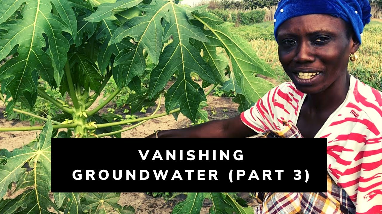 Vanishing Groundwater in Gambia (PART 3) Mini Docu