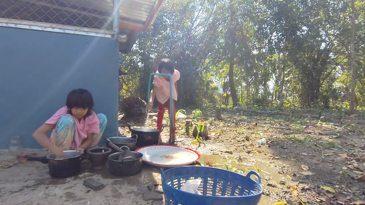 สอนลูกๆให้รู้จักทำงานช่วยกัน คนป่า เผ่าตองเหลือง ຄົນປ່າ ເຜົ່າຕອງເຫລື່ອງ