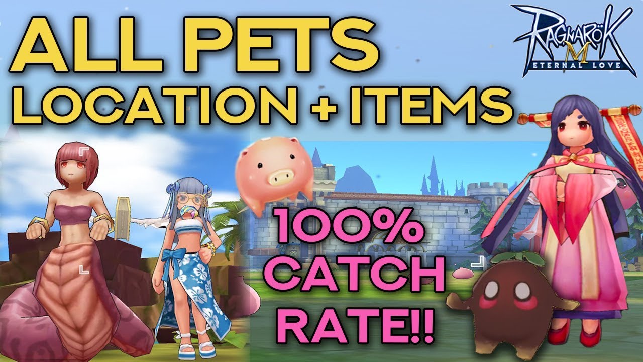 РУКОВОДСТВО ПО ПОИМКЕ ПИТОМЦА: 100% УСПЕХ!! | Ragnarok Mobile: Вечная любовь