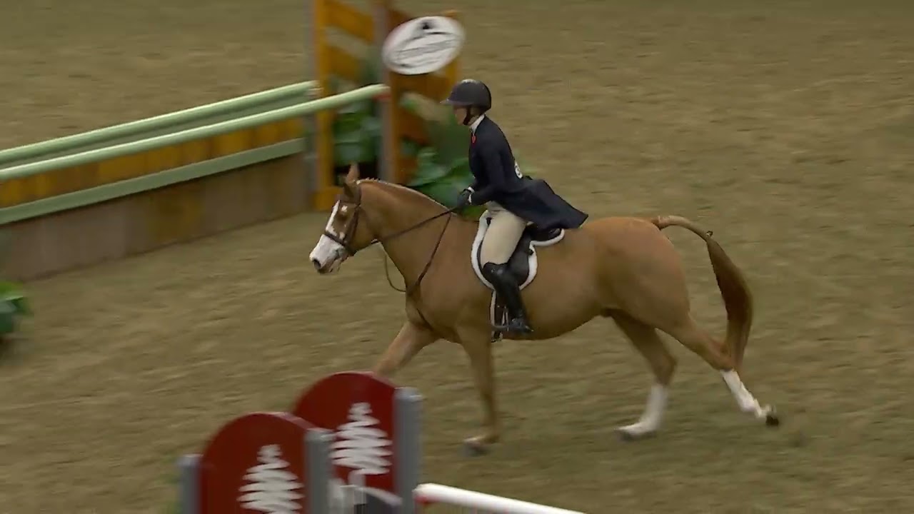 $25 000 KNIGHTWOOD HUNTER DERBY: лучшее, что есть у Тейлора Брукса
