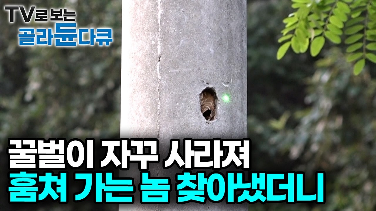 복수하러 찾아갔다가 안구, 코 골절된 아저씨 이놈 잡으려고 별의별 짓을 다해봤지만｜극한직업｜#골라듄다큐